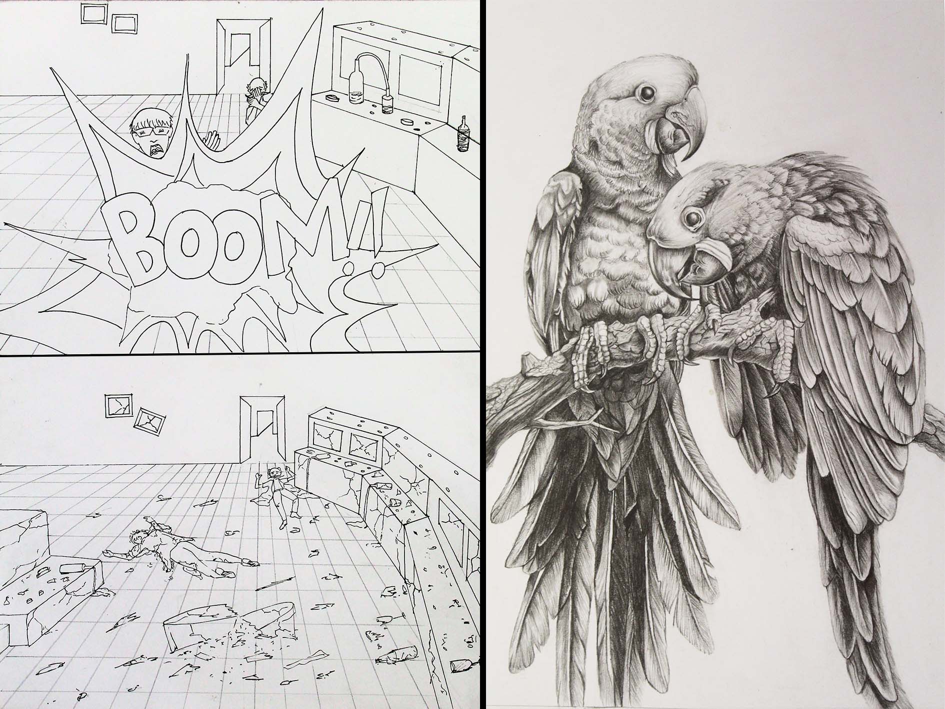 StoryBoard & Artworks Parrot graphite scene